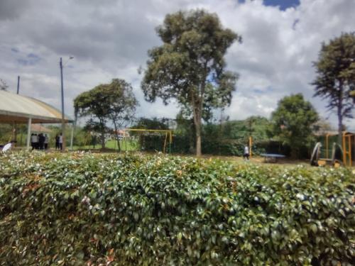 IMG_20220923_115704620_HDR